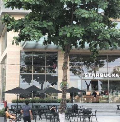 DỰ ÁN STARBUCKS HILTON ĐÀ NẴNG